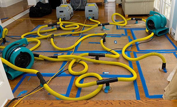 Professional Water Extraction technician working in Hartselle, AL